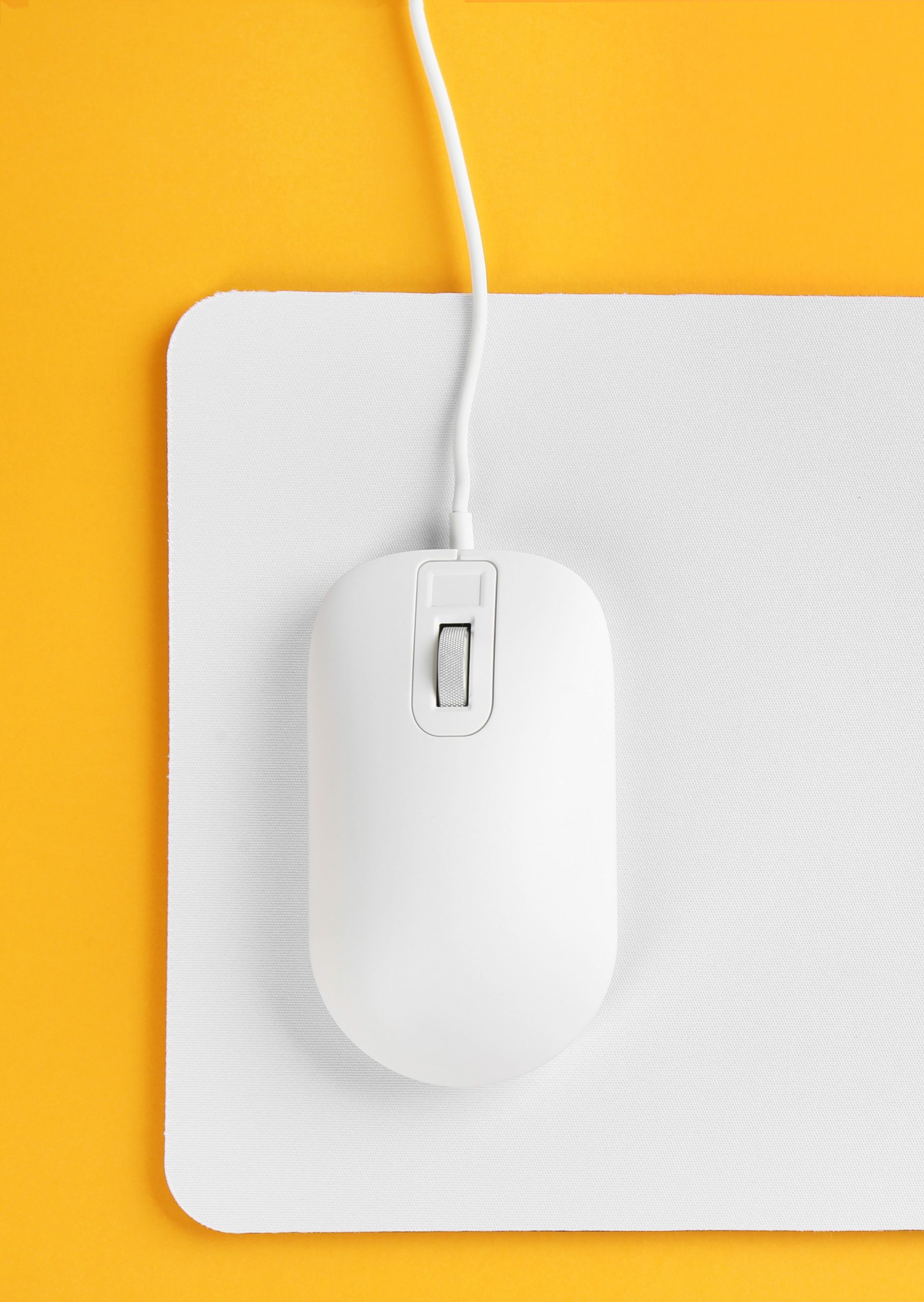 Référencement site internet Paris et audit SEO