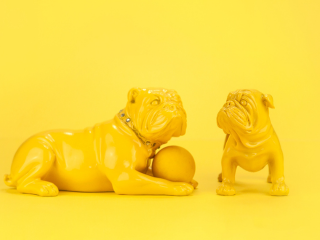 Référencement site internet paris gagnez en visibilité web