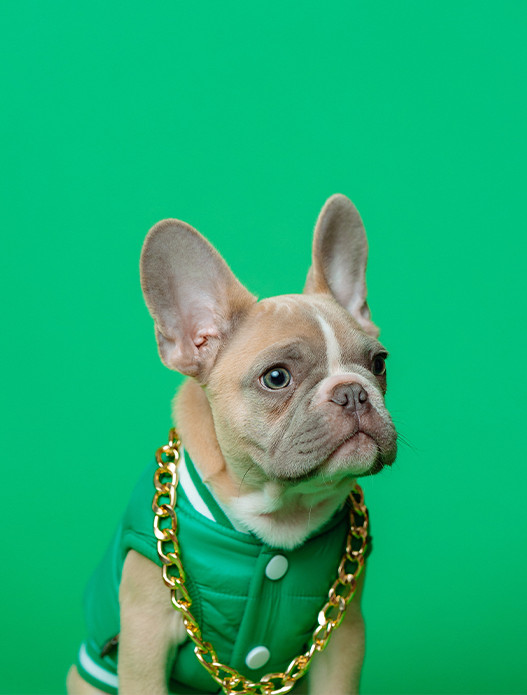 IMPAAKT – DEVELOPPEMENT WEB ET MOBILE SUR MESURE - IDF