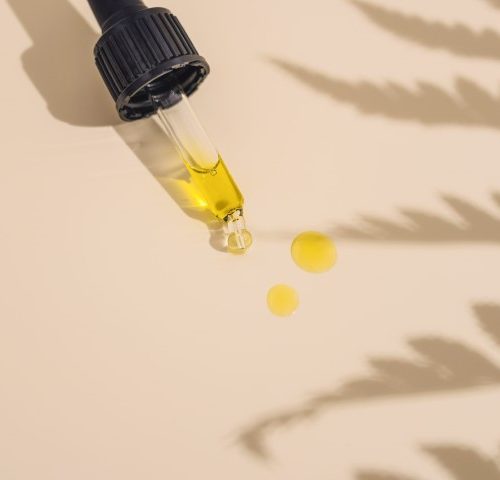 Référence/projet : UPCBD